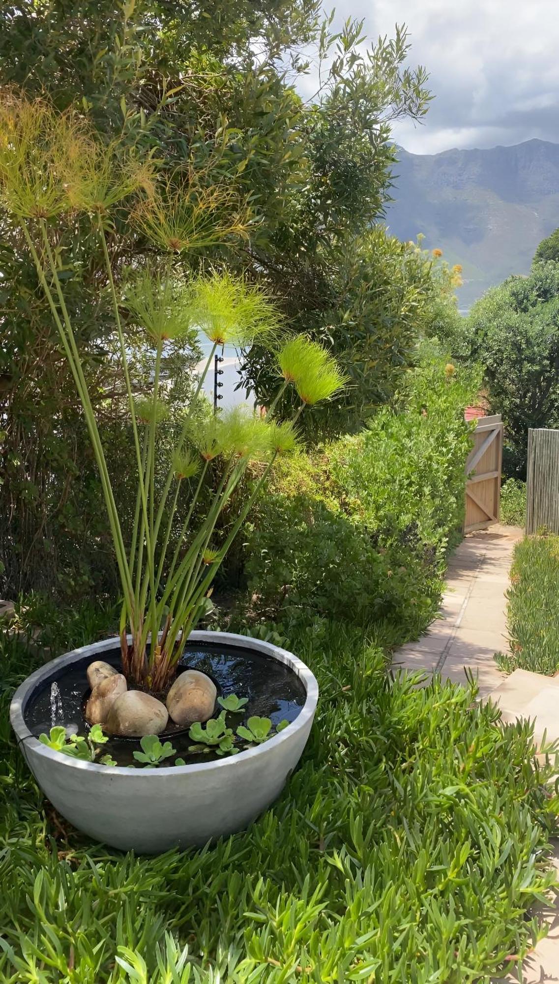 Beautiful View Garden Apartment Cape Town Bagian luar foto